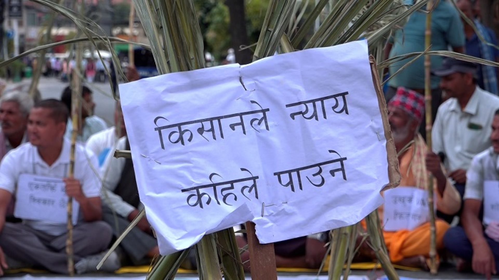 उखु किसानहरुको आन्दोलन आजपनि जारी, अनुदान खर्च कटौती गर्नु खेदपुर्ण